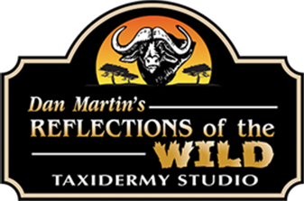 Reflections Taxidermy Logo